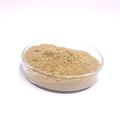 35% Purity Antivirus Powder Chlorogenic Acid / Coffea Canephora L