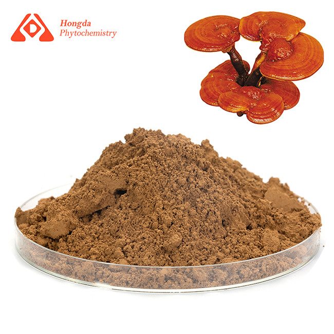 Organic Ganoderma Spore Brown Fine Powder Food Grade